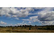 IMG 20200726 134651.jpg