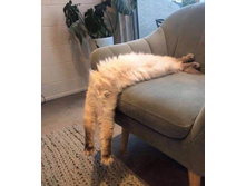 ��������� ...