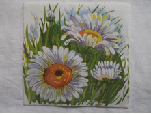 277.JPG � ������� 1 ��