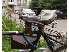 IMG 20200701 160319.jpg