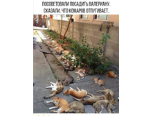 Screenshot 20200630 150221.jpg