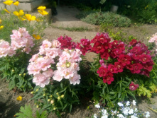 IMG 20200711 133232.jpg