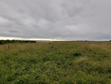 IMG 20200716 180353.jpg