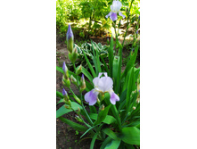 IMG 20200612 152404.jpg