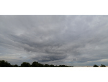 IMG 20200716 190913.jpg