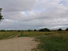 IMG 20200716 190710.jpg