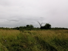 IMG 20200716 181707.jpg