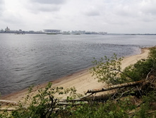 IMG 20200705 115113.jpg