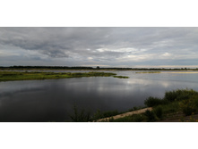 IMG 20200716 191627.jpg