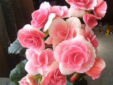 IMG 20200708 161139 439.jpg