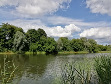 IMG 20200726 142400.jpg