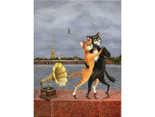 26910858 394445130980944 3387848979255959088 o.jpg