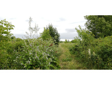 IMG 20200716 174946.jpg