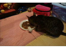 ��� � ����� ������� ������ ...