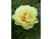 IMG 20200630 135620.jpg