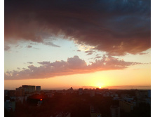 ������� 8 ���� 2020 ����