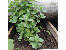 ����������������