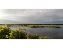 IMG 20200716 192252.jpg