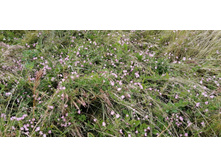 IMG 20200716 172125.jpg