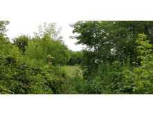 IMG 20200716 174515.jpg