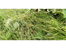 IMG 20200716 172402.jpg