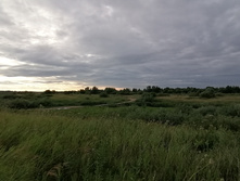 IMG 20200716 190805.jpg