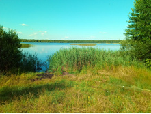 20200712 �� ��������� 162216 1.jpg