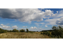 IMG 20200726 135355.jpg