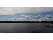 IMG 20200726 114836.jpg