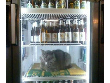 ���� ����������� ������ ������ ���������!