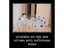 ������� �� ��� ���. ������ ���� �������� ����.