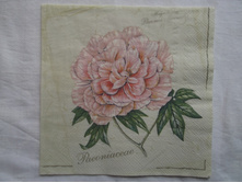 260.JPG 20 ���