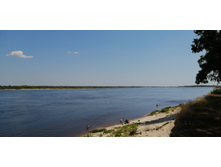 IMG 20200712 120216.jpg