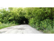 IMG 20200716 193314.jpg