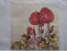 59/1.JPG 15 ��� � ������� 1 ��