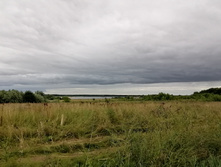 IMG 20200716 171827.jpg