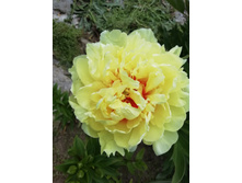 IMG 20200630 135552.jpg