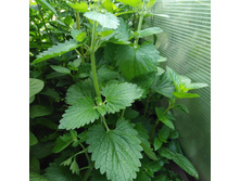 ������� 2