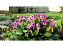 ����� ������������� ����������