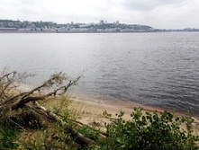 IMG 20200705 115122.jpg