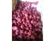 IMG 20200710 101232.jpg