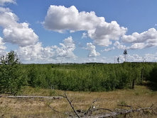 IMG 20200725 102134.jpg