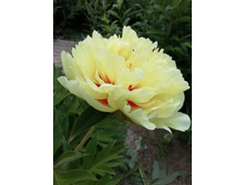 IMG 20200630 135559.jpg