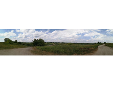 IMG 20200703 121946.jpg