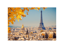 27280-103089 ���� Castorland, 1000 ��������� - ����� � ������ -1�� -327,36�.png