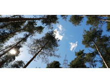 IMG 20200726 130414.jpg