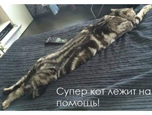 �����-��� ����� �� ������!