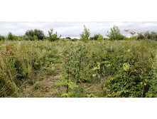 IMG 20200716 175934.jpg