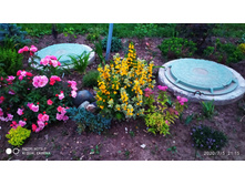 ��������� �������� ���������