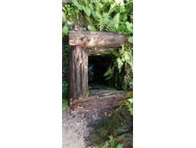 IMG 20200815 110505.jpg